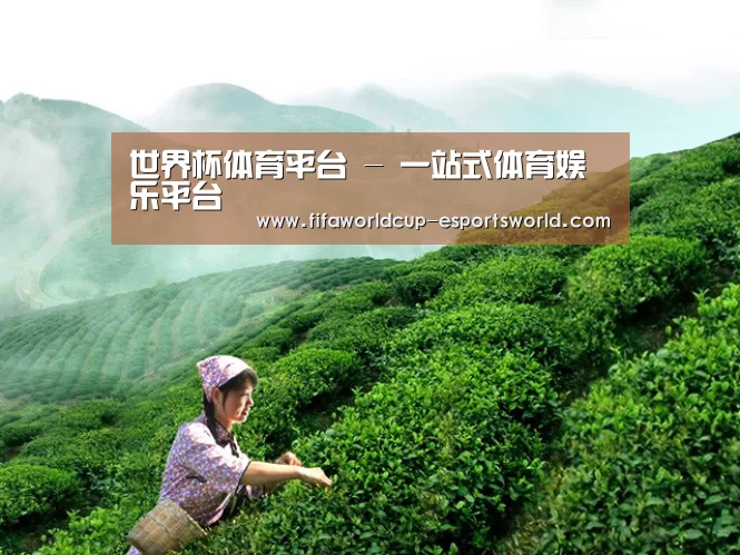 世界杯体育平台 - 一站式体育娱乐平台